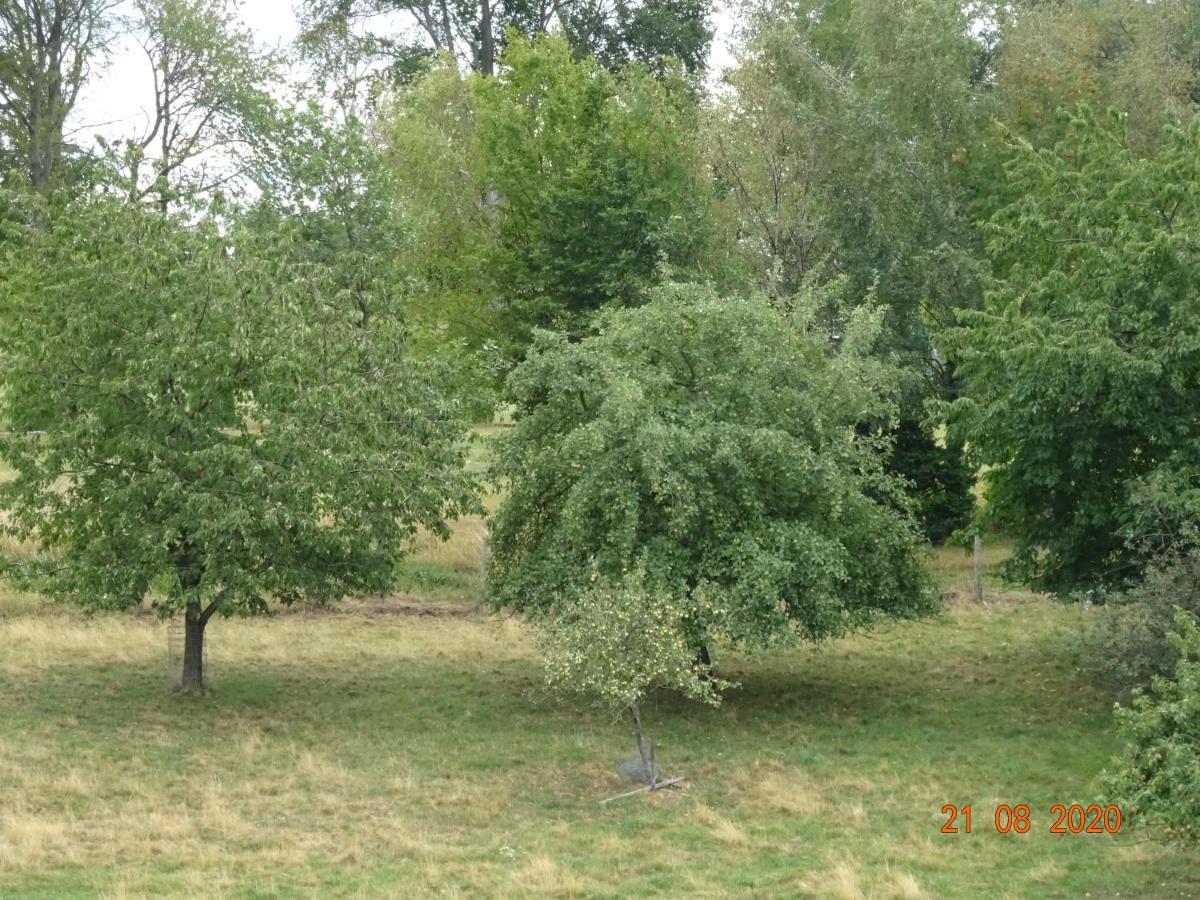 Ferienwohnung Lohrer Nideggen Dış mekan fotoğraf